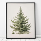 Christmas Tree Art Print, Vintage Fir Botanical Sketch, Christmas Tree Painting Print, Pine Tree Antique Print, Christmas Tree Wall Art - Grand Goldman
