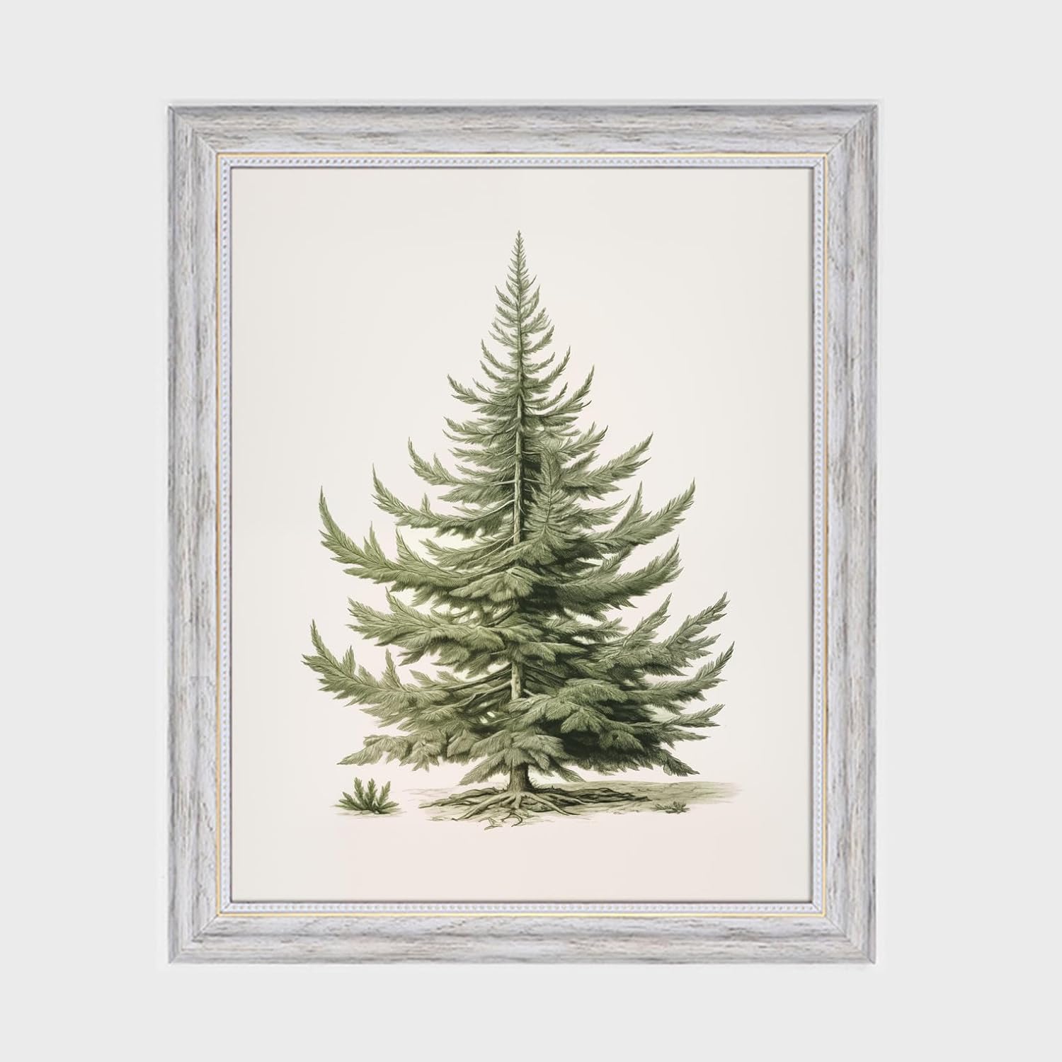 Christmas Tree Art Print, Vintage Fir Botanical Sketch, Christmas Tree Painting Print, Pine Tree Antique Print, Christmas Tree Wall Art - Grand Goldman