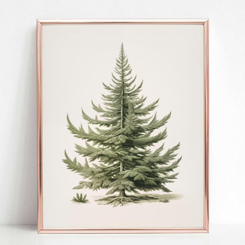 Christmas Tree Art Print, Vintage Fir Botanical Sketch, Christmas Tree Painting Print, Pine Tree Antique Print, Christmas Tree Wall Art - Grand Goldman