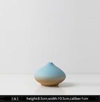 Creative Blue Brown Shade Ceramic Vase Various Forms Abstract Design Home Decor Flower Pot - Grand Goldman