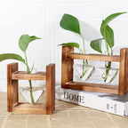 Creative Heart-shaped Hydroponic Vase Glass Wood Flower - Grand Goldman
