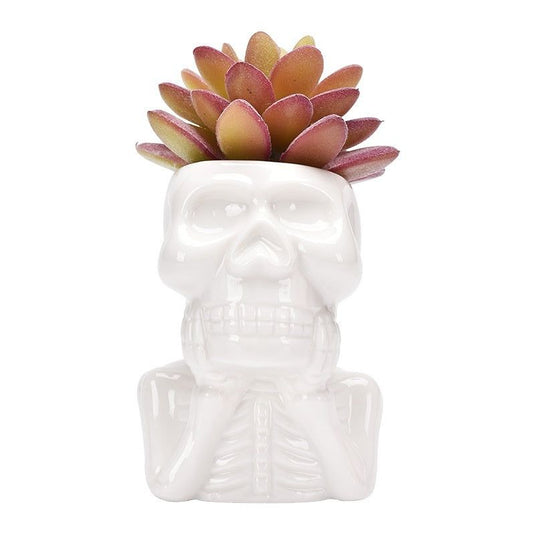 Creative White Porcelain Succulent Flower Pot Personality Skull - Grand Goldman
