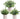 Der Rose 3 Pack Mini Potted Fake Plants Artificial Plastic Eucalyptus Plants Topiaries for Home Office Desk Farmhouse Room Decor - Grand Goldman