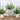 Der Rose 3 Pack Mini Potted Fake Plants Artificial Plastic Eucalyptus Plants Topiaries for Home Office Desk Farmhouse Room Decor - Grand Goldman