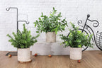 Der Rose 3 Pack Mini Potted Fake Plants Artificial Plastic Eucalyptus Plants Topiaries for Home Office Desk Farmhouse Room Decor - Grand Goldman