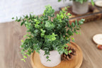 Der Rose 3 Pack Mini Potted Fake Plants Artificial Plastic Eucalyptus Plants Topiaries for Home Office Desk Farmhouse Room Decor - Grand Goldman