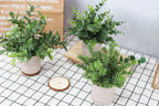 Der Rose 3 Pack Mini Potted Fake Plants Artificial Plastic Eucalyptus Plants Topiaries for Home Office Desk Farmhouse Room Decor - Grand Goldman