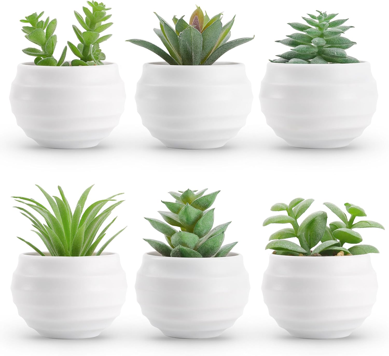 Der Rose Set of 6 Succulents Plants Artificial in Pots Small Fake Plants for Bedroom Aesthetic Living Room Office Shelf Bathroom Decor - Grand Goldman