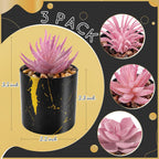 Der Rose Set of 6 Succulents Plants Artificial in Pots Small Fake Plants for Bedroom Aesthetic Living Room Office Shelf Bathroom Decor - Grand Goldman