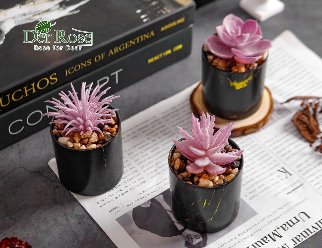 Der Rose Set of 6 Succulents Plants Artificial in Pots Small Fake Plants for Bedroom Aesthetic Living Room Office Shelf Bathroom Decor - Grand Goldman