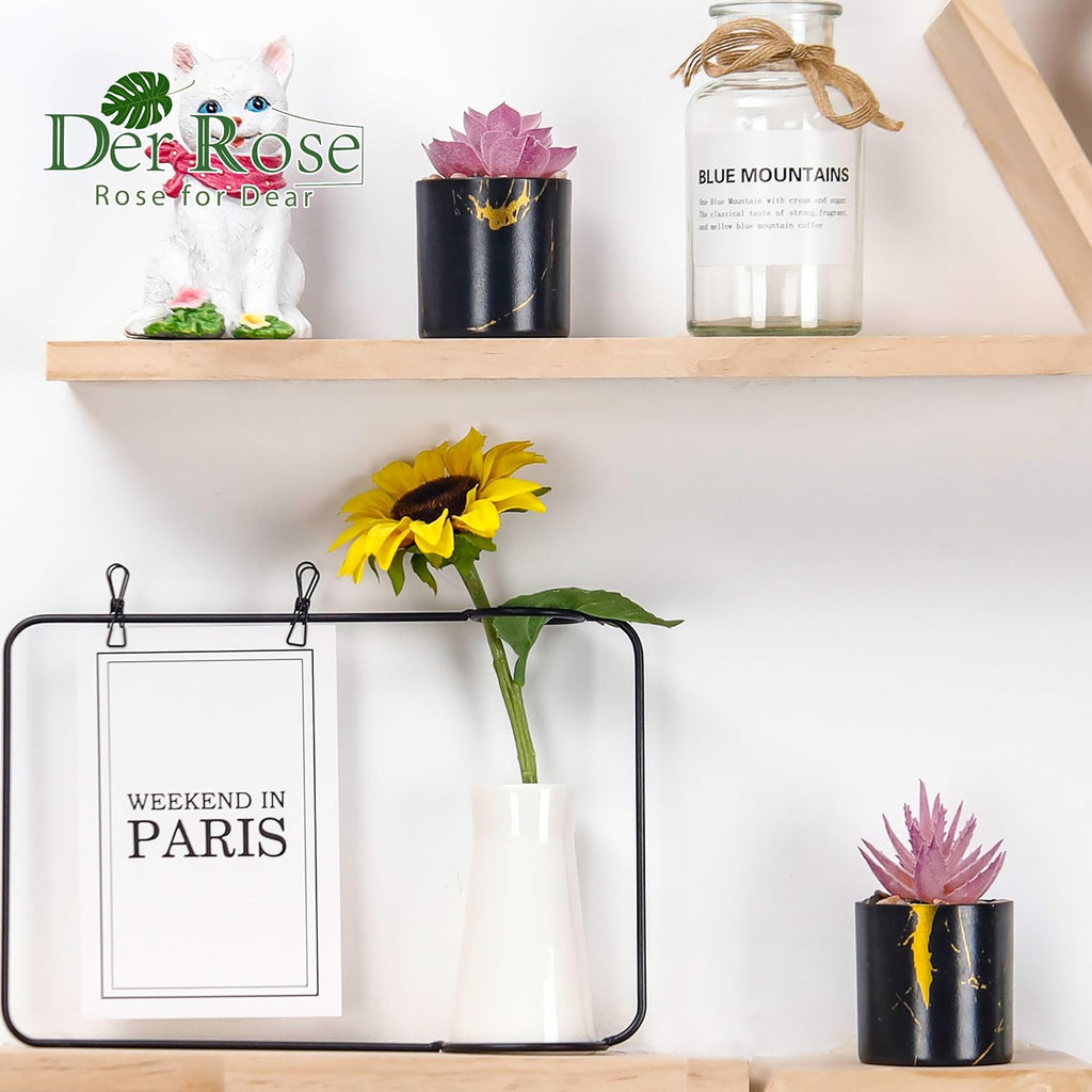 Der Rose Set of 6 Succulents Plants Artificial in Pots Small Fake Plants for Bedroom Aesthetic Living Room Office Shelf Bathroom Decor - Grand Goldman