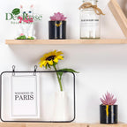 Der Rose Set of 6 Succulents Plants Artificial in Pots Small Fake Plants for Bedroom Aesthetic Living Room Office Shelf Bathroom Decor - Grand Goldman