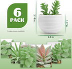 Der Rose Set of 6 Succulents Plants Artificial in Pots Small Fake Plants for Bedroom Aesthetic Living Room Office Shelf Bathroom Decor - Grand Goldman