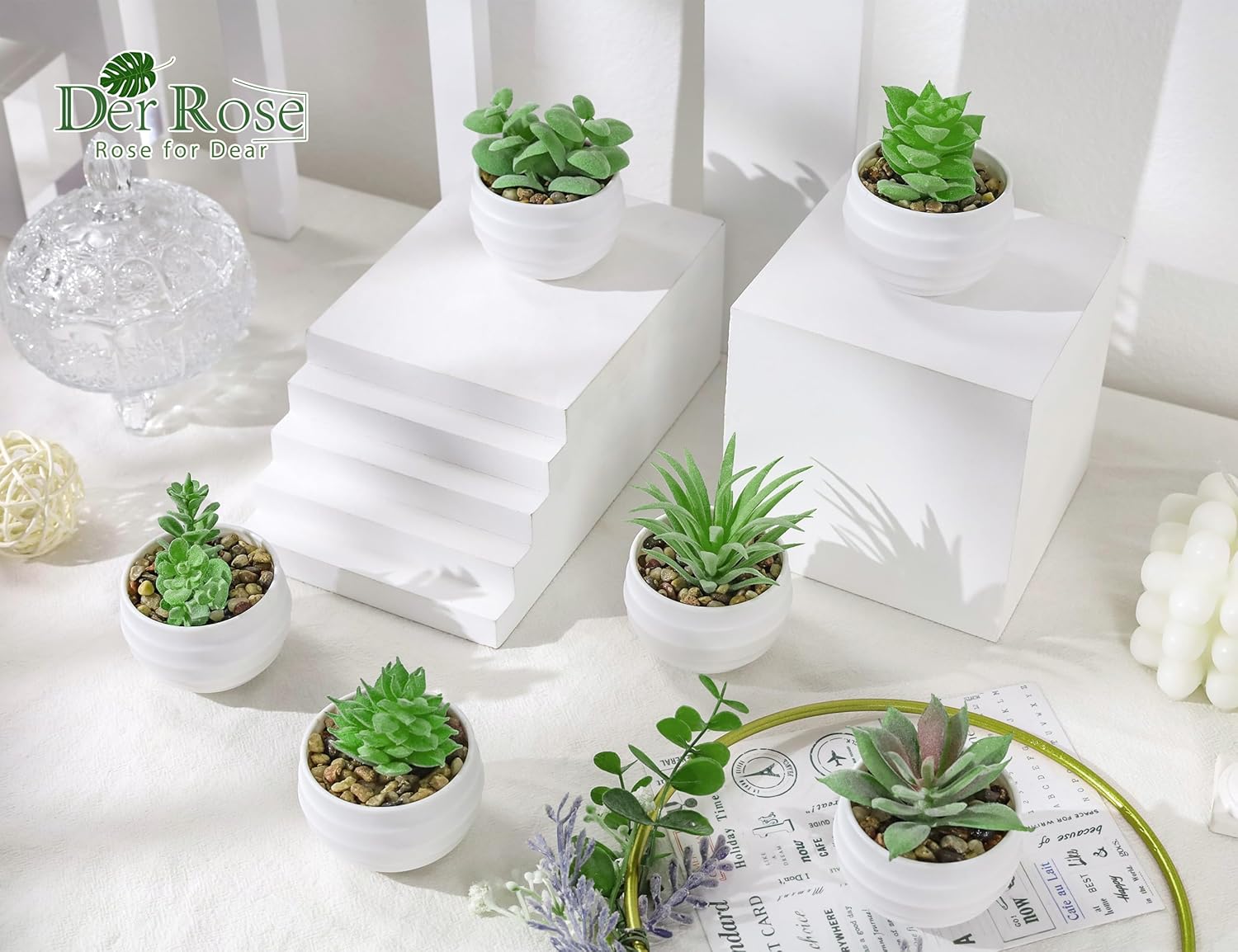 Der Rose Set of 6 Succulents Plants Artificial in Pots Small Fake Plants for Bedroom Aesthetic Living Room Office Shelf Bathroom Decor - Grand Goldman