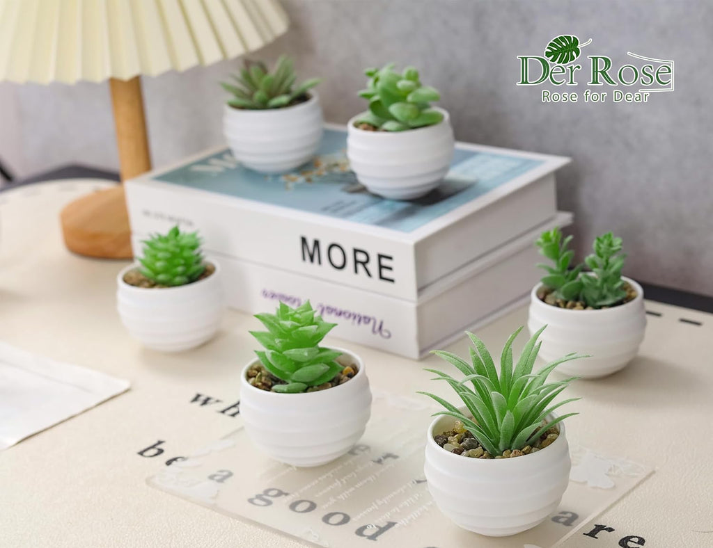 Der Rose Set of 6 Succulents Plants Artificial in Pots Small Fake Plants for Bedroom Aesthetic Living Room Office Shelf Bathroom Decor - Grand Goldman