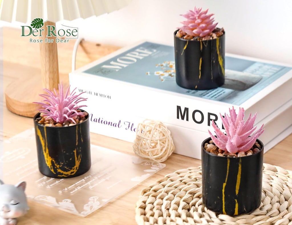 Der Rose Set of 6 Succulents Plants Artificial in Pots Small Fake Plants for Bedroom Aesthetic Living Room Office Shelf Bathroom Decor - Grand Goldman