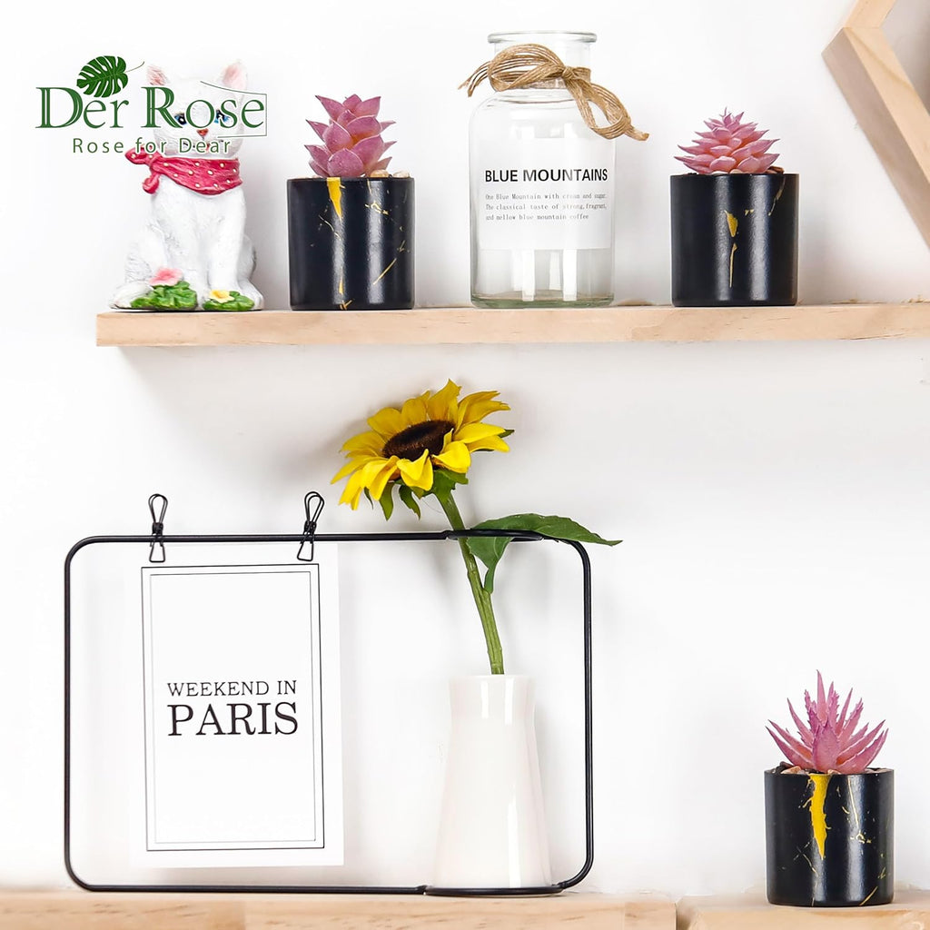 Der Rose Set of 6 Succulents Plants Artificial in Pots Small Fake Plants for Bedroom Aesthetic Living Room Office Shelf Bathroom Decor - Grand Goldman