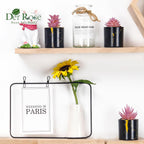 Der Rose Set of 6 Succulents Plants Artificial in Pots Small Fake Plants for Bedroom Aesthetic Living Room Office Shelf Bathroom Decor - Grand Goldman