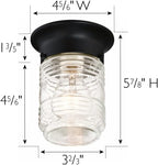 Design House 587220 Jelly Jar 1-Light Indoor/Outdoor Flush Mount Ceiling Light, Black - Grand Goldman