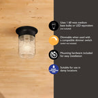 Design House 587220 Jelly Jar 1-Light Indoor/Outdoor Flush Mount Ceiling Light, Black - Grand Goldman