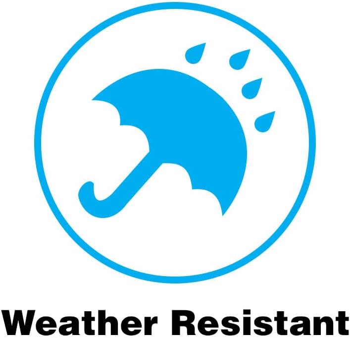 Designers Fountain 2067-BK Builder Cast Outdoor Flush Mount Ceiling Light, 10.5 in W, Black - Grand Goldman