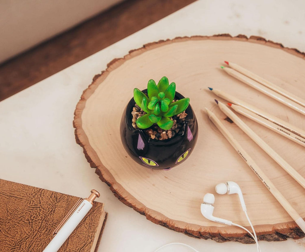 Disney Lilo & Stitch Pineapple 6-Inch Ceramic Planter with Artificial Succulent | Cute Flower Pot, Faux Indoor Plants - Grand Goldman