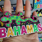 Dubai Tanzania Antigua New York Bahamas Puerto Rico Finland Barbados Argentina Kenya Cancun Mexico Jamaica PVC Fridge Magnet - Grand Goldman