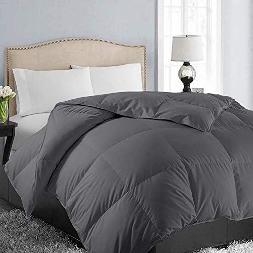 EASELAND All Season Queen Size Soft Quilted Down Alternative Comforter Reversible Duvet Insert with Corner Tabs,Winter Summer Warm Fluffy,White,88x88 inches - Grand Goldman