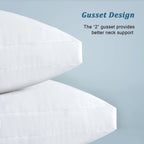 EIUE Hotel Collection Bed Pillows for Sleeping 2 Pack Queen Size，Pillows for Side and Back Sleepers,Super Soft Down Alternative Microfiber Filled Pillows,20 x 30 Inches - Grand Goldman