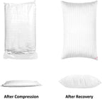 EIUE Hotel Collection Bed Pillows for Sleeping 2 Pack Queen Size，Pillows for Side and Back Sleepers,Super Soft Down Alternative Microfiber Filled Pillows,20 x 30 Inches - Grand Goldman