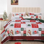 FROZZUR Quilts Queen Size Christmas Patchwork Quilt with Santa Claus Red Stocking Bedspreads Queen Size Snowman Reindeer Soft Coverlet 2 Pillow Cases - Grand Goldman
