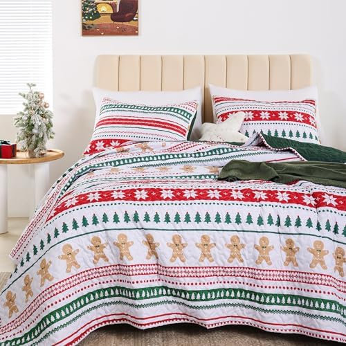 FROZZUR Quilts Queen Size Christmas Patchwork Quilt with Santa Claus Red Stocking Bedspreads Queen Size Snowman Reindeer Soft Coverlet 2 Pillow Cases - Grand Goldman