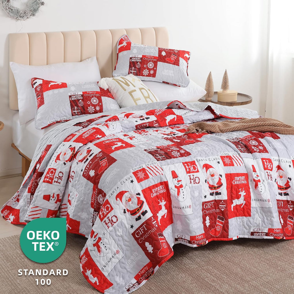 FROZZUR Quilts Queen Size Christmas Patchwork Quilt with Santa Claus Red Stocking Bedspreads Queen Size Snowman Reindeer Soft Coverlet 2 Pillow Cases - Grand Goldman