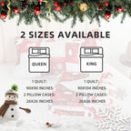 FROZZUR Quilts Queen Size Christmas Patchwork Quilt with Santa Claus Red Stocking Bedspreads Queen Size Snowman Reindeer Soft Coverlet 2 Pillow Cases - Grand Goldman