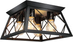 FadimiKoo 4-Light Black Flush Mount Ceiling Light for Kitchen Hallway, Industrial Close to Ceiling Lighting, Farmhouse Square Cage Ceiling Lamp for Dining Room, Living Room, Bulb Not Included - Grand Goldman