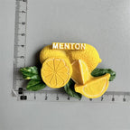 Fridge Magnets Paris Riga Hungary Frankfurt Hamburg Sweden Zurich zermatt BERN Switzerland New York Mexico India Iceland Lietuva - Grand Goldman