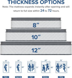 Full Mattress, 10 Inch Medium Firm Hybrid Mattress with Bamboo Charcoal Gel Memory Foam and Pocketed Springs, Full Size Mattress in a Box with Pressure Relief and Support, CertiPUR-US Certified - Grand Goldman