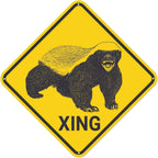 Funny Metal Tin Sign Bear Panda Turtle Mouse Xing Caution Crossing Sign Wildlife Gift for Indoor Outdoor Wall Decor Square Sign - Grand Goldman