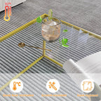 Glass Coffee Table Modern Center Table,Minimalist Coffee Table Sofa Side Tea Table for Living Room,Tempered Glass-top with Sturdy Metal Frame, Easy Assembly,26.4 x 26.4 x 15.7 Inches, Gold - Grand Goldman