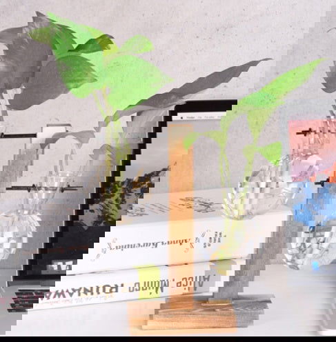 Glass Wood Vase Table Desktop Hydroponics Plant Stationery Bonsai Flower Pot Decoration Hanging Pots with Wooden Tray Pen Holder - Grand Goldman