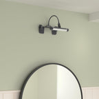 HONWELL Painting Lights Cordless, Dartboard Light with Remote, Rechargeable Picture Light, Picture Frame Light with 3 Modes 28 LEDs Rotate Head, 360° Flexible Neck, Clip on Display Light for Art-Black - Grand Goldman