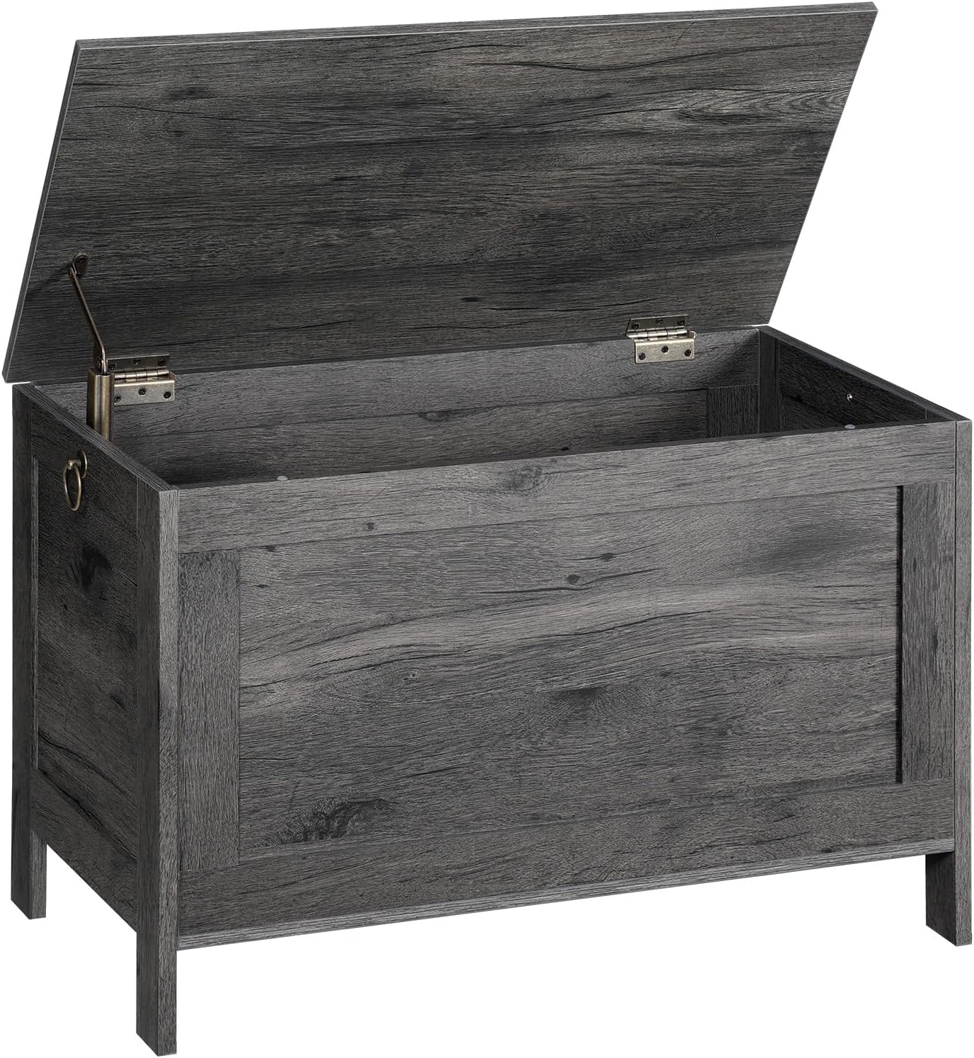 HOOBRO Toy Box, Retro Wooden Look Storage Chest with Safety Hinge, Entryway Storage Bench Supports 220 lb, 29.9 x 15.7 x 18.9 Inches Toy Chest Organizer, Easy Assembly (Greige) BG75CW01G1 - Grand Goldman