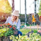 Hedoc 2 Pack Fake Owl Decoys to Scare Birds Away from Gardens and Patios, Rotating Head Owl Bird Deterrents, Nature Enemy Scarecrow Plastic Owl Statues, Pest Repellent, Pigeon Deterrent - Grand Goldman