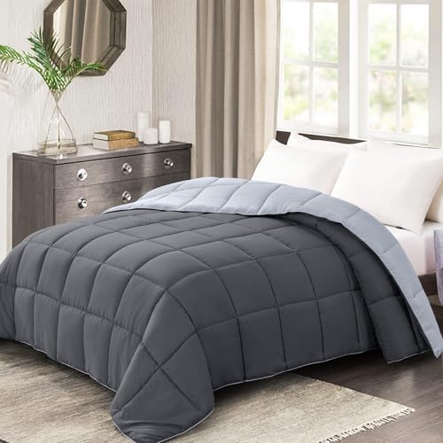 Homelike Moment Lightweight Queen Comforter - Grey Down Alternative Bedding Comforters Queen Size, All Season Duvet Insert Quilted Reversible Bed Comforter Soft Queen Full Size Dark Gray/Light Grey - Grand Goldman