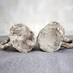 Hot bark mugs - Grand Goldman