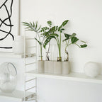 Hydroponic Plants Flowers Glass Test Tube Vase - Grand Goldman