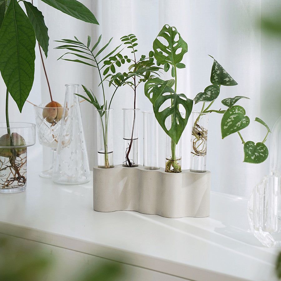 Hydroponic Plants Flowers Glass Test Tube Vase - Grand Goldman