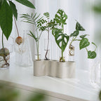 Hydroponic Plants Flowers Glass Test Tube Vase - Grand Goldman