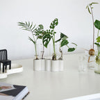 Hydroponic Plants Flowers Glass Test Tube Vase - Grand Goldman