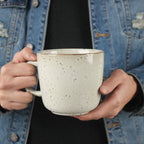 Japanese Retro Pitted Household Ceramic Tableware - Grand Goldman